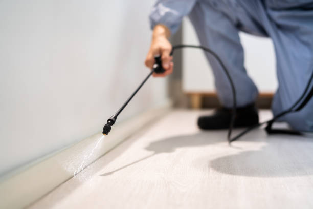 Certified termite inspector examining foundation in Oakville